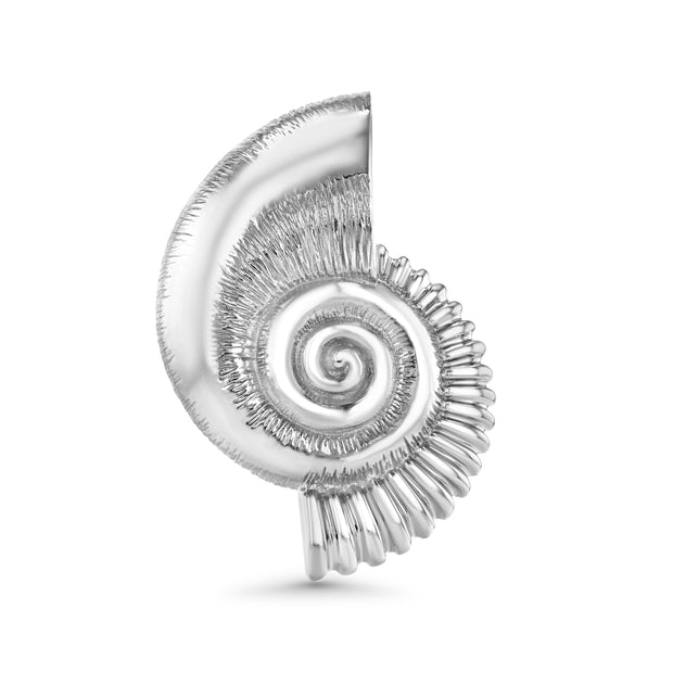 Luminesce Shell Brooch in White Rhodium