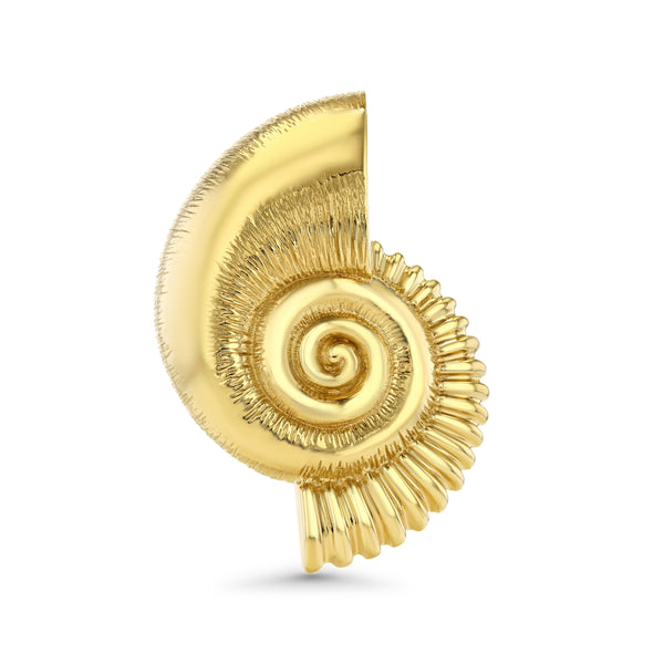 Luminesce Shell Brooch in Gold Vermeil