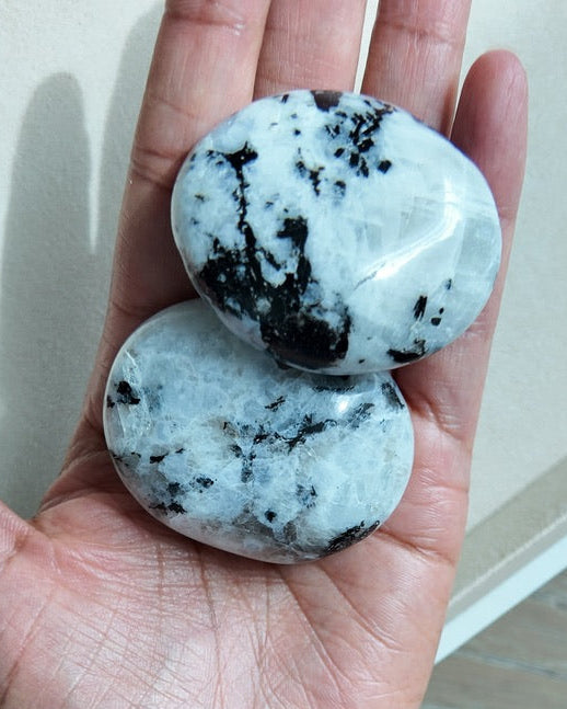 Two polished white stones with black marbling held in a person's hand, with a beige wall and wood floor visible in the background.