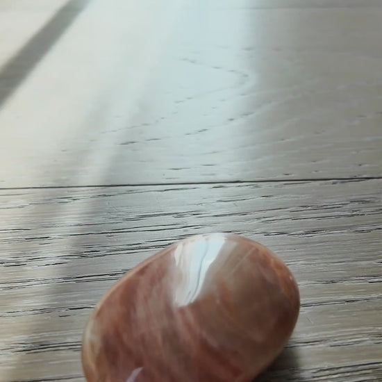 WANTING carnelian film