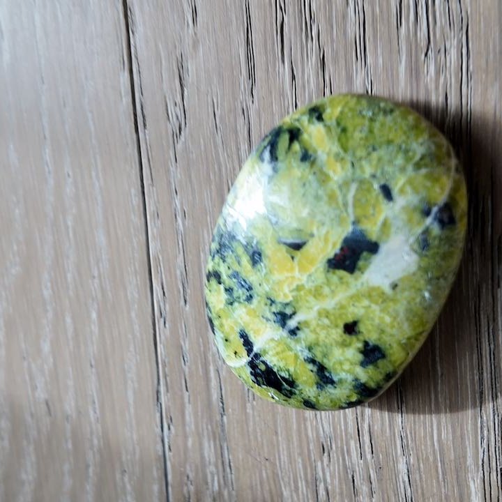 ROOTED lizardite palm stone