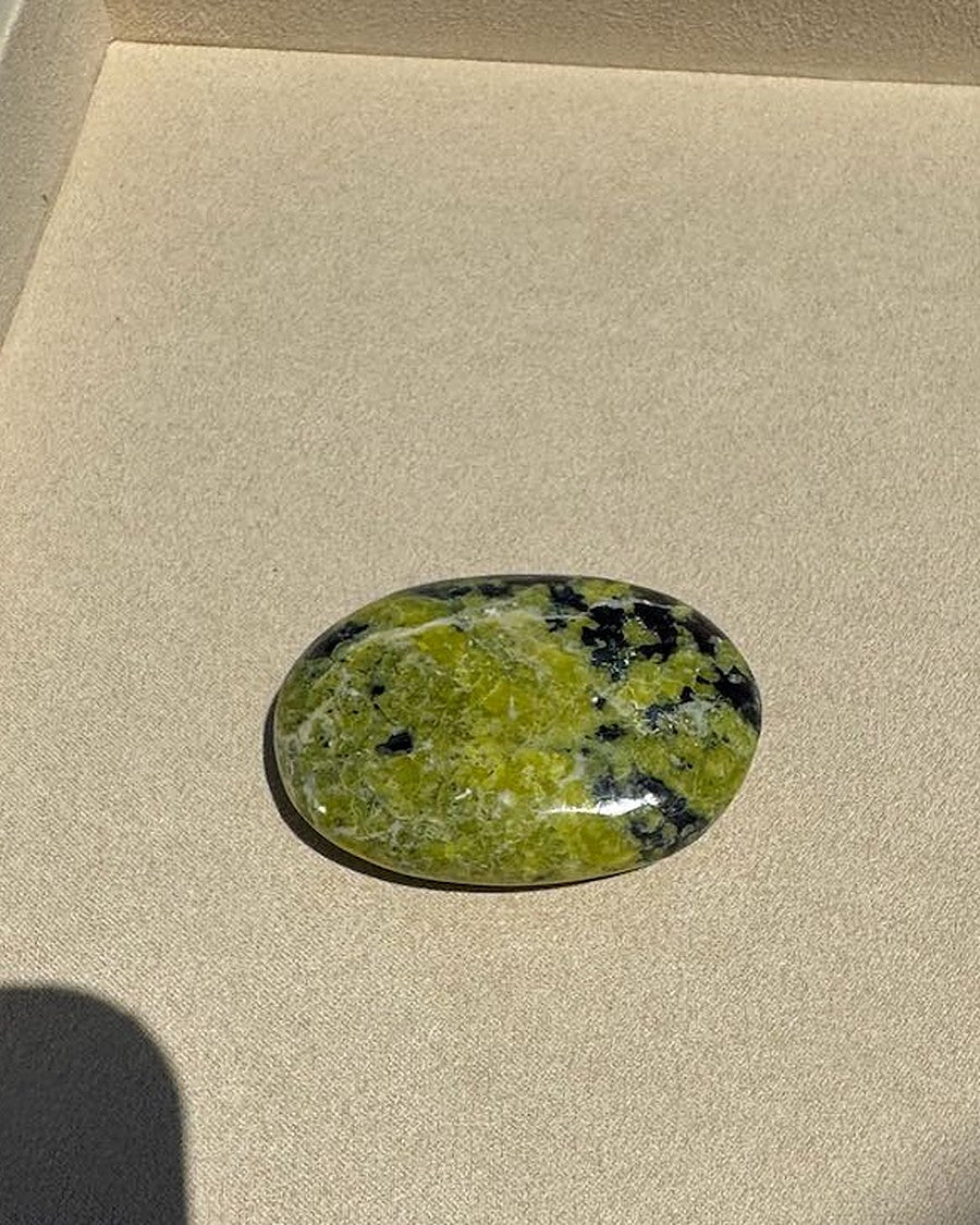 ROOTED lizardite palm stone on cream tray