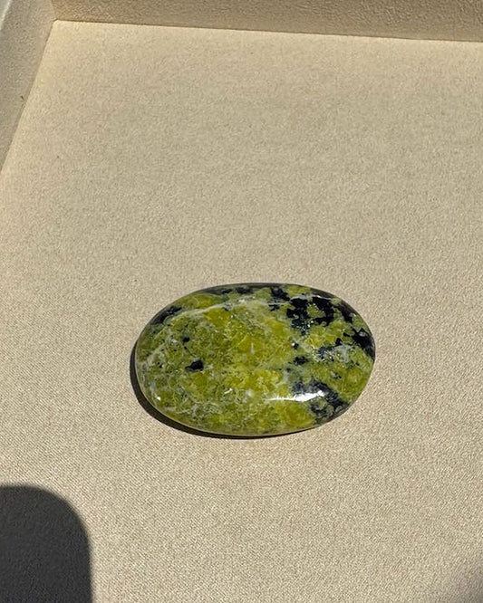 ROOTED lizardite palm stone on cream tray